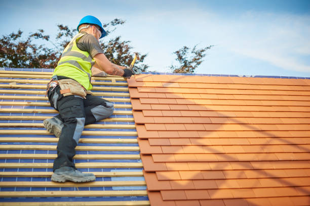 Gutter Replacement in River Grove, IL